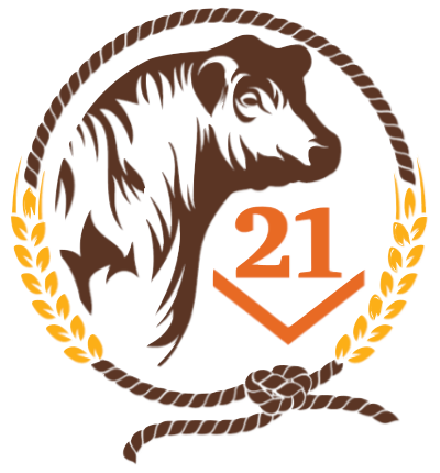 Highway 21 Group